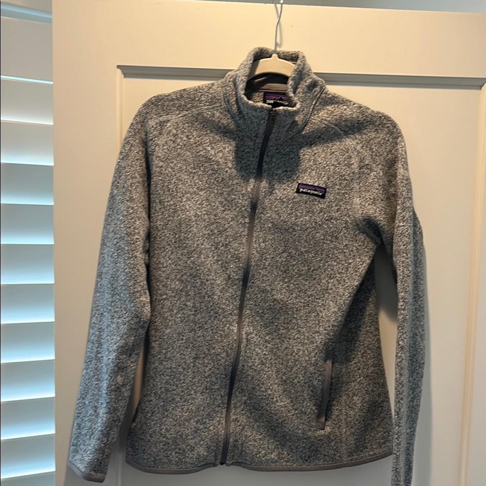 Patagonia Gray Full-Zip Fleece Jacket